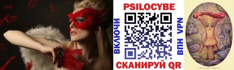 Галлюциногенные грибы Psilocybine cubensis  Купить где  Беломорск 